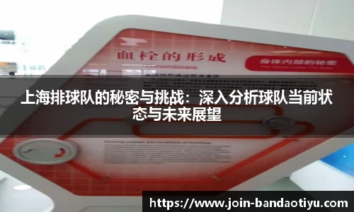 bob半岛